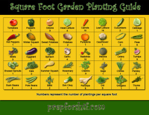 Square_Foot_Planting_Guide_LG